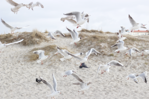 Wassertemperatur 2°C - Zu Besuch im schwedischen Kaltbad - wanderfolk.de