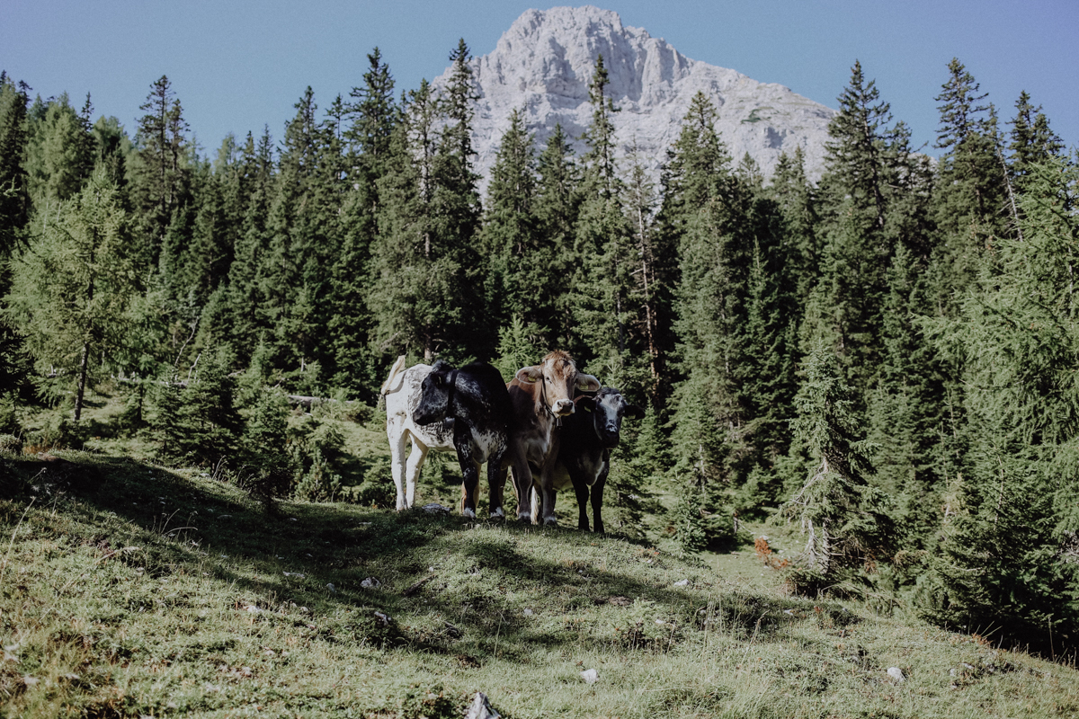 Wandern Tirol Coburger Hütte