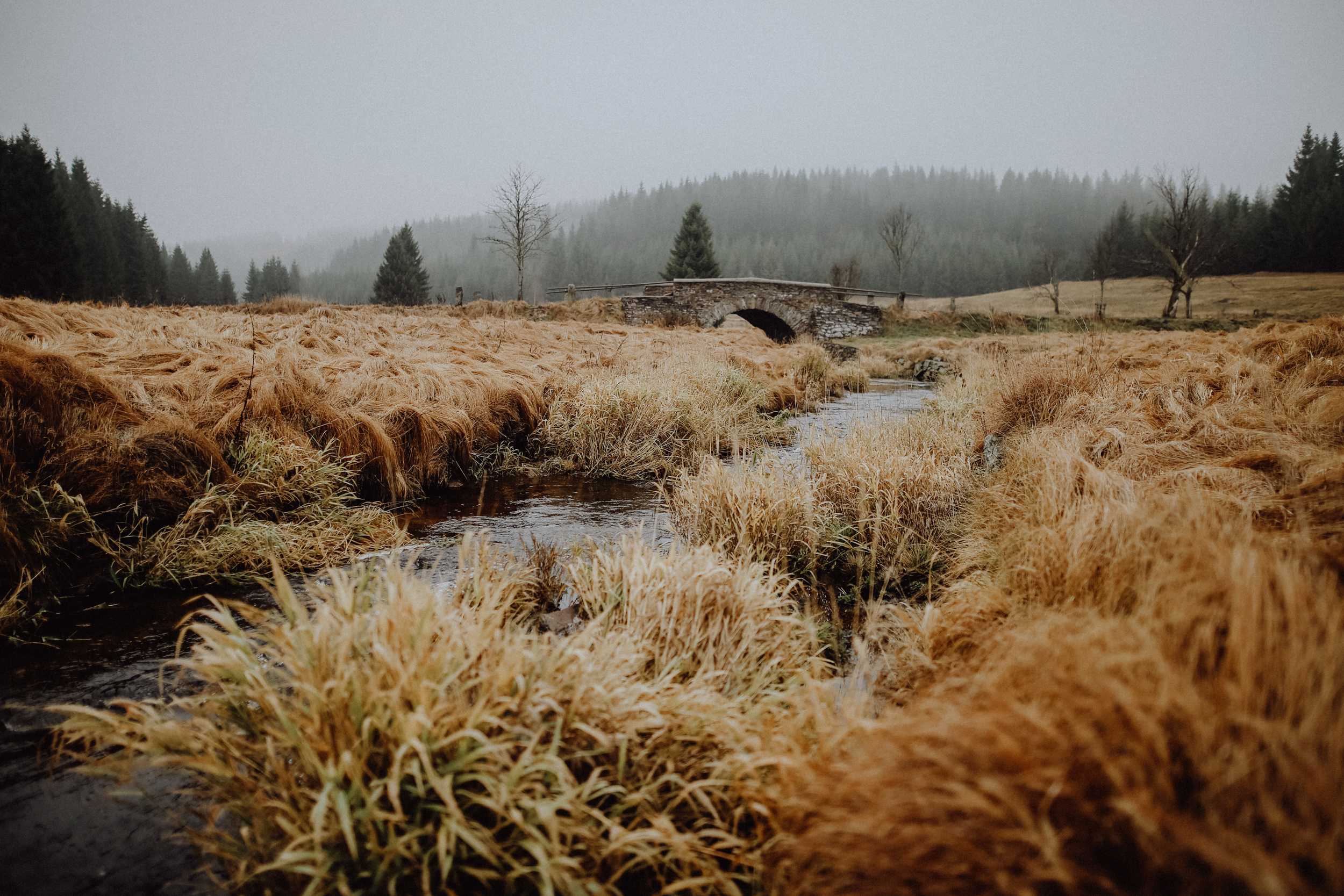 Wandern Erzgebirge Schwarzwassertal