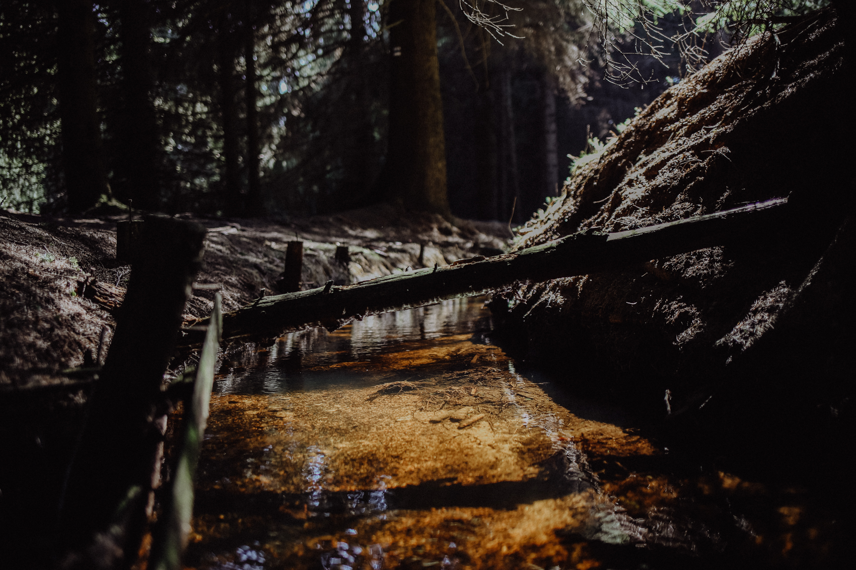 Der Grüne Graben Der Grüne Graben ist ein schmaler, künstlicher Flusslauf von 8 Kilometern Länge und wurde bereits im 17. Jahrhundert angelegt, um mit dem abgeleiteten Wasser der Schwarzen Pockau das “Kunstgezeuge” der Pobershauer Bergwerke anzutreiben. “Kunstgezeuge” haben in diesem Fall aber nichts mit Kunst zu tun, sondern meinen die Maschinen der Bergarbeiter wie beispielsweise Wasserräder. Heute treibt der plätschernde Bach immer noch Wasserräder an - allerdings nur noch die kleinen, die entlang des Weges immer wieder im Wasser hängen und dort fröhlich vor sich hin kreiseln.