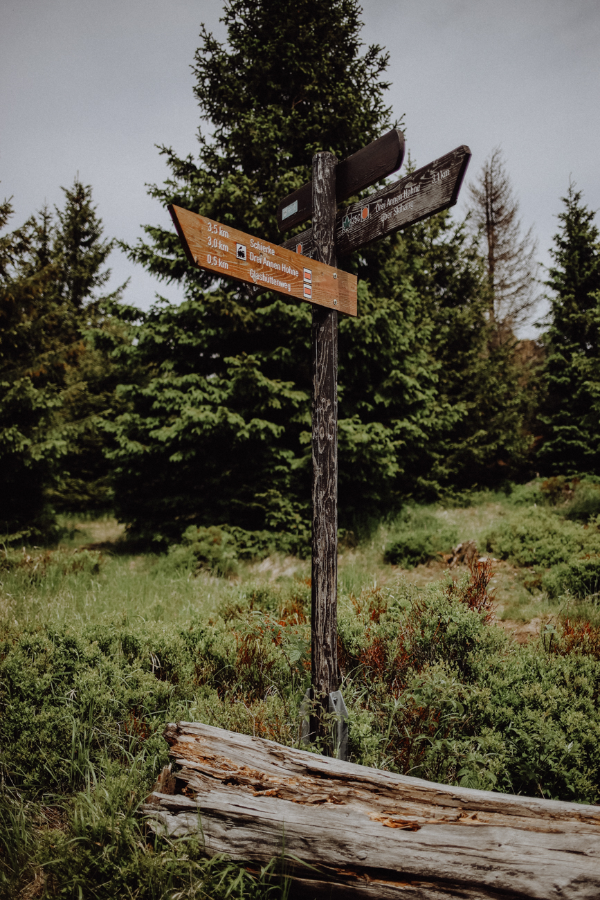 Wandern Harz Schierke
