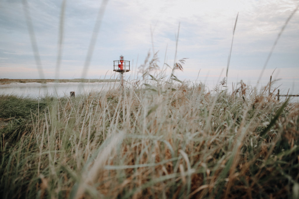 Wandern Darß Zingst Leuchtturmweg Herbst
