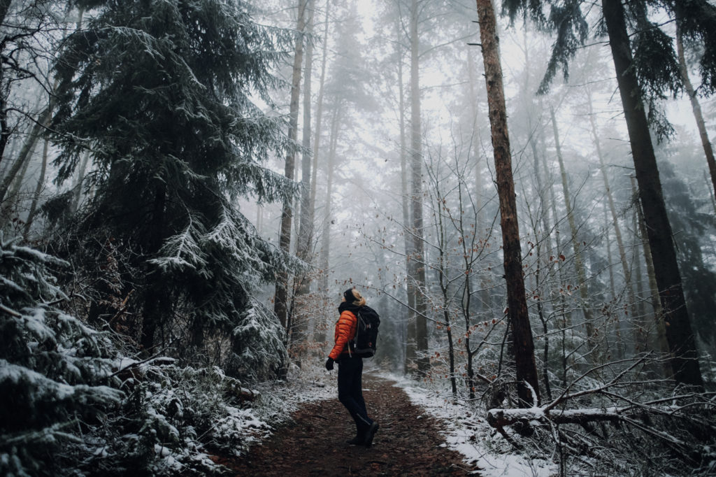 Sächsische Schweiz Winter Wandern Gohrisch Papststein