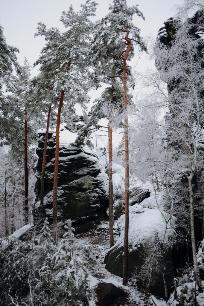 Sächsische Schweiz Winter Wandern Gohrisch