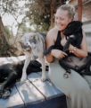 Hunde aus Portugal Algarve Tierheim Place for Strays
