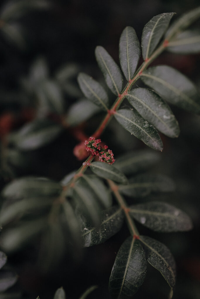 Nationalpark Calanques Alle wichtigen Infos & tolle Wandertouren