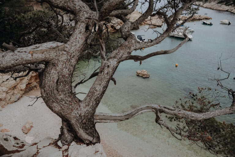 Nationalpark Calanques Alle wichtigen Infos & tolle Wandertouren