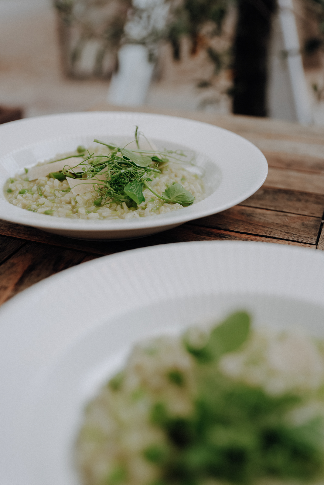 Lolland Falster Restaurant Tipps Cafe Vin&Brod Maribo