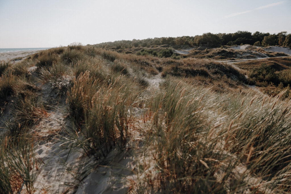 Südschweden Sehenswürdigkeiten Sandhammaren