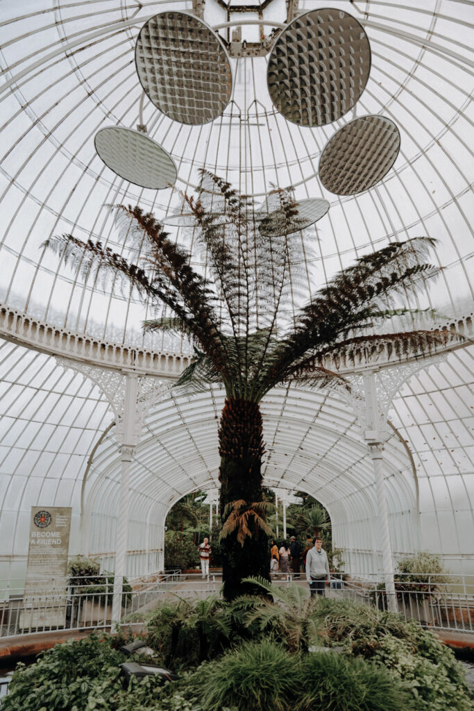 Glasgow Sehenswürdigkeiten Botanischer Garten