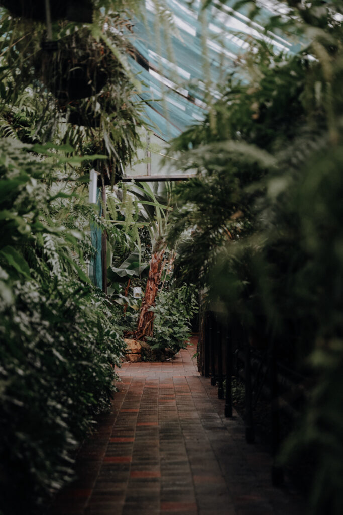 Glasgow Sehenswürdigkeiten Botanischer Garten
