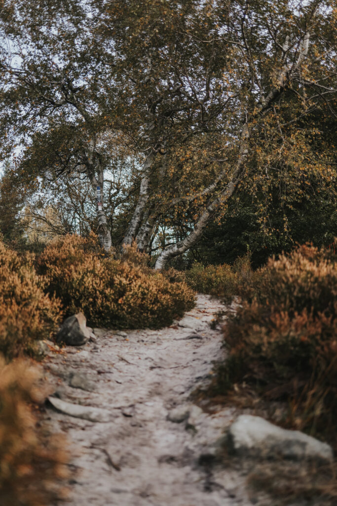 Teutoburger Wald Wandern Lippische Velmerstot
