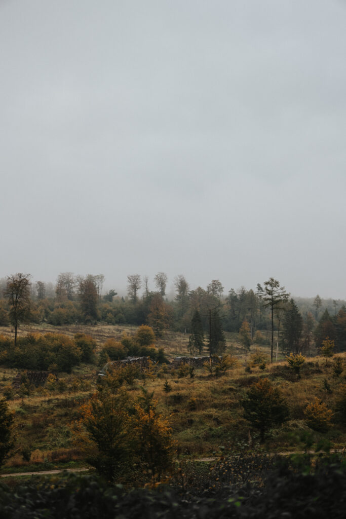 Teutoburger Wald Wandern Hermannshöhen Eggeweg
