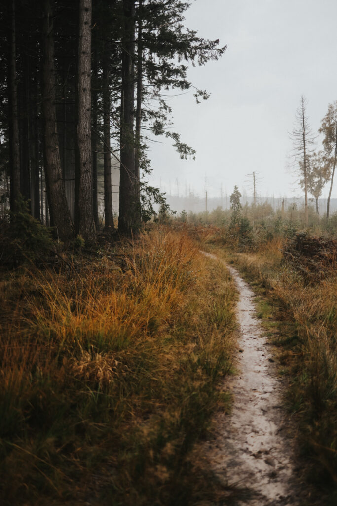 Teutoburger Wald Wandern Hermannshöhen Eggeweg