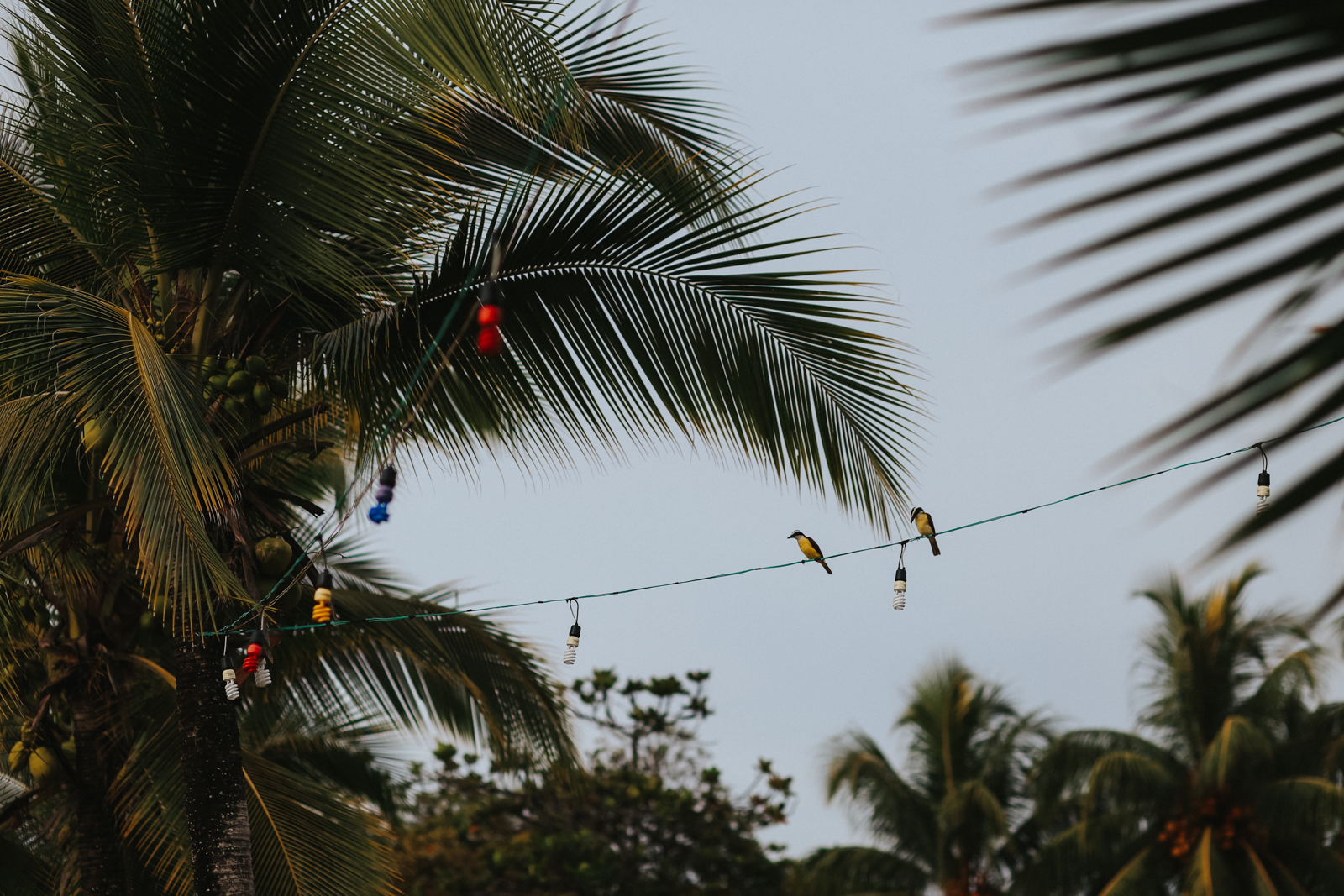 Puerto Viejo Costa Rica