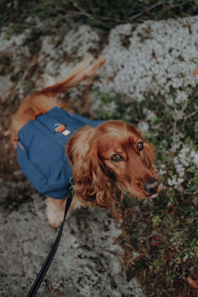 Höga Kustenleden Etappen