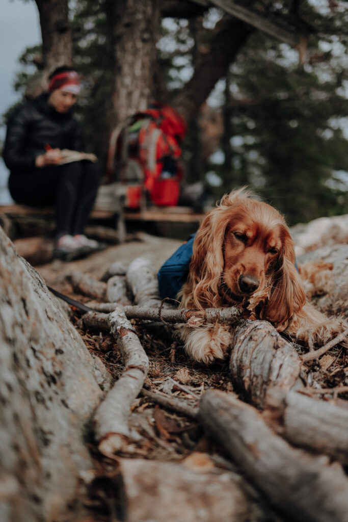 Höga Kustenleden Etappen Jon Nils Berget