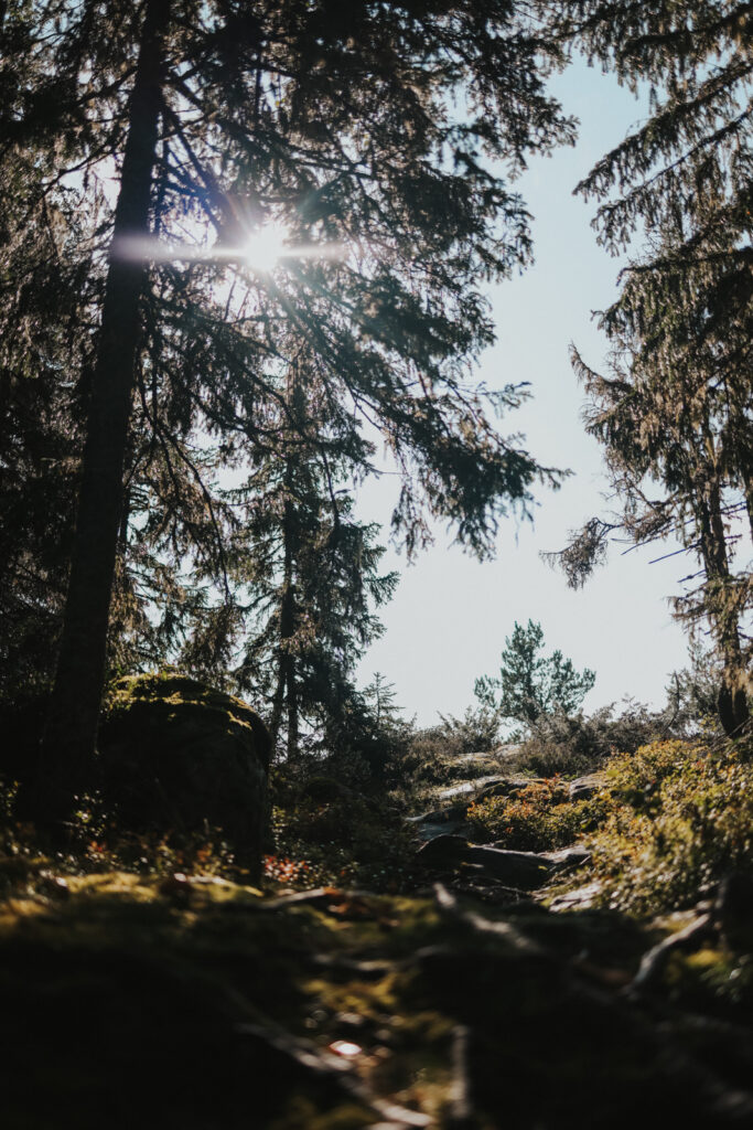 Höga Kustenleden Etappen