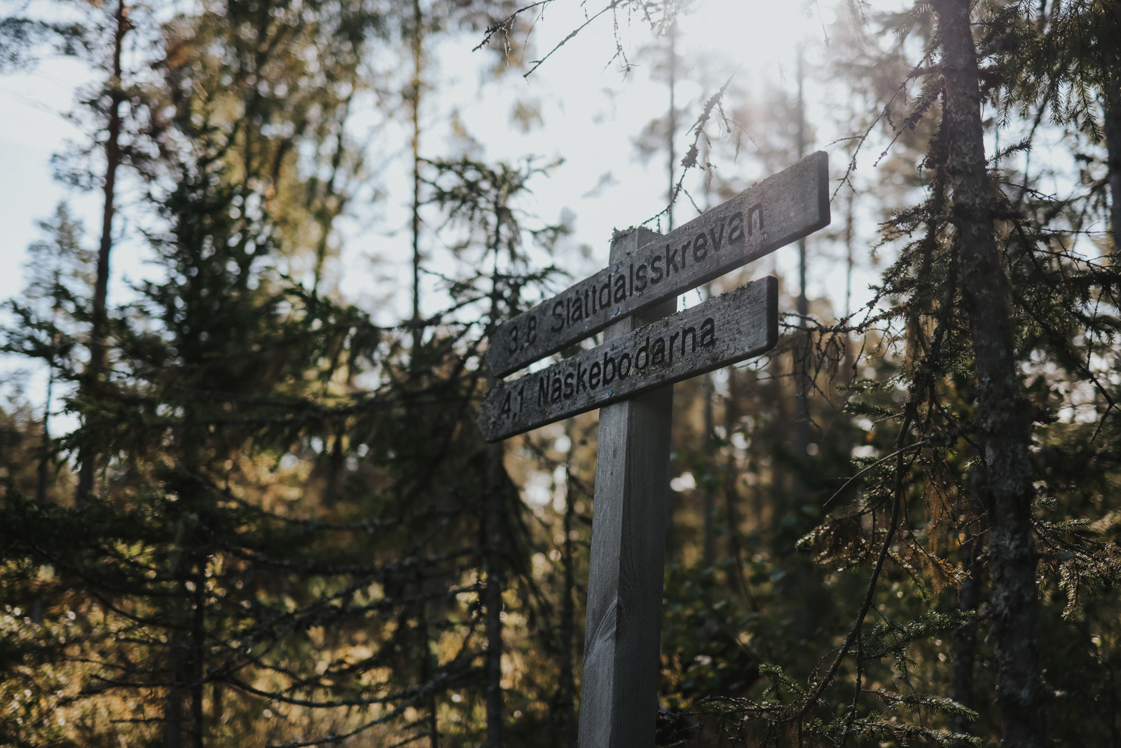 Höga Kustenleden Etappen Skuleskogen Nationalpark