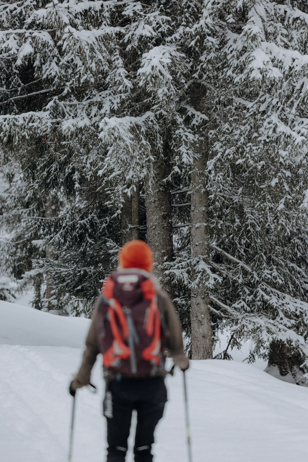 Bregenzerwald Winter Scheeschuhwandern