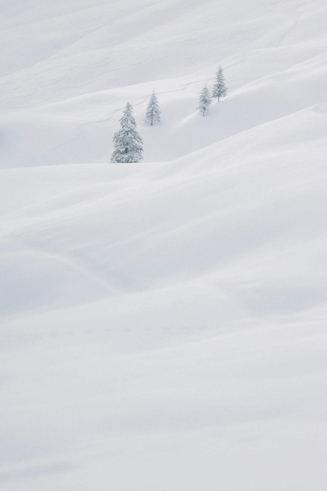 Bregenzerwald Winter Scheeschuhwandern