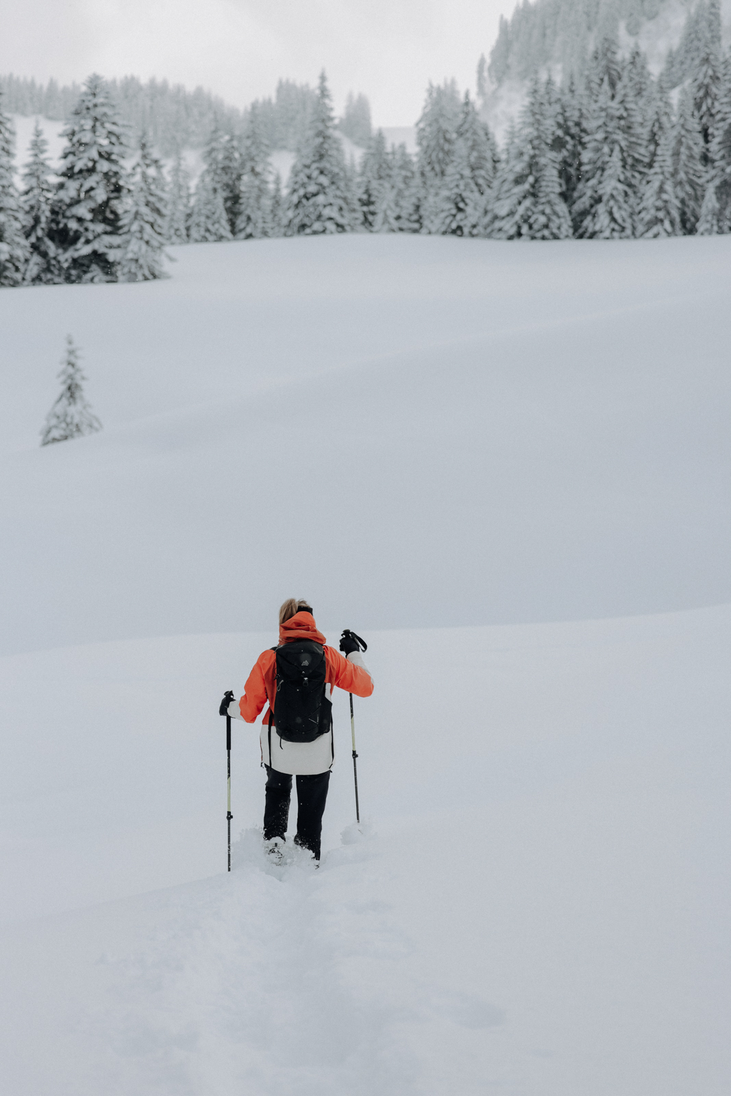 Bregenzerwald Winter Scheeschuhwandern
