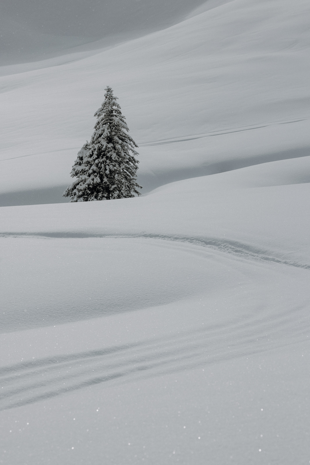 Bregenzerwald Winter Scheeschuhwandern