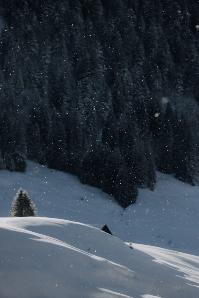 Bregenzerwald Winterwandern Sibratsgfäll Schönenbach