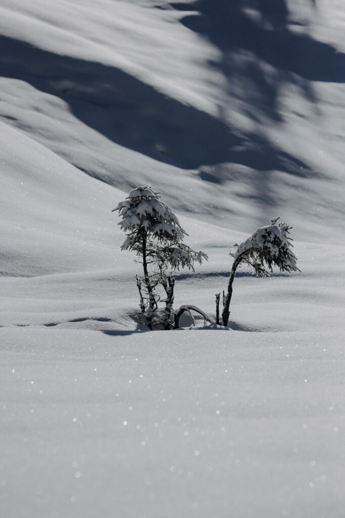 Bregenzerwald Winterwandern Sibratsgfäll Schönenbach
