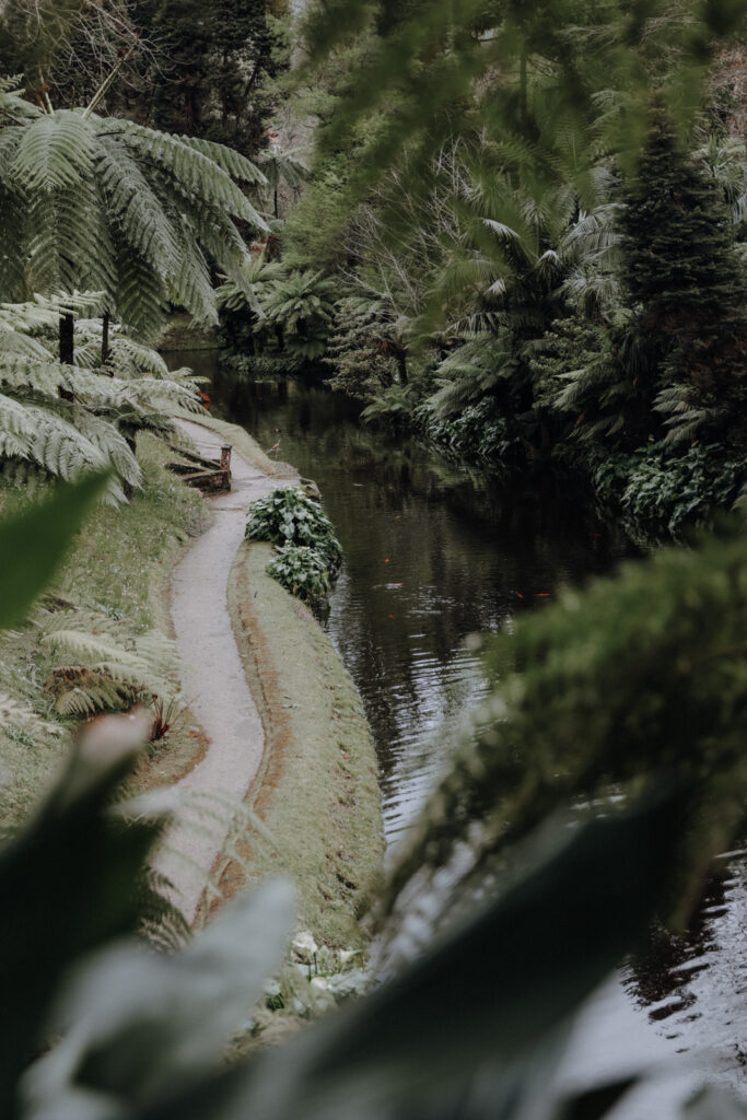 Sao Miguel Azoren Parque Terra Nostra