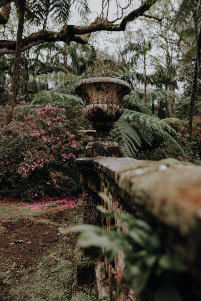 Sao Miguel Azoren Parque Terra Nostra