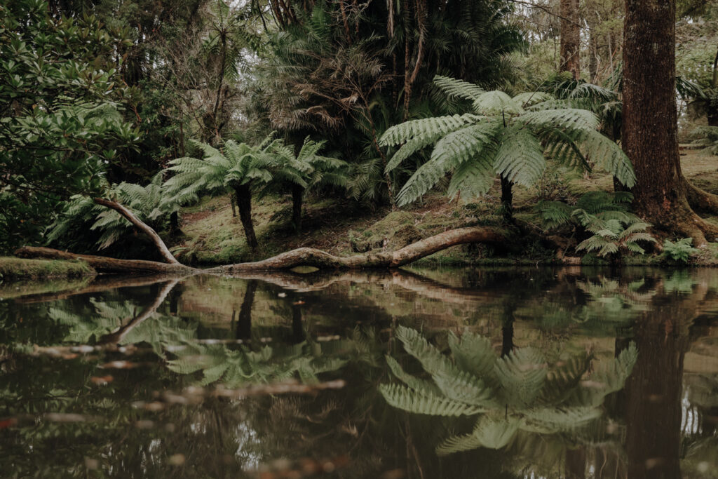 Sao Miguel Azoren Parque Terra Nostra