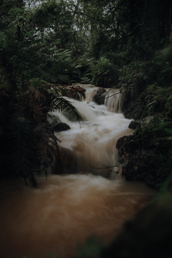 Sao Miguel Azoren Parque Terra Nostra