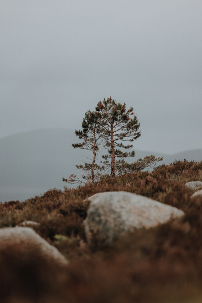 Cairngorms Nationalpark