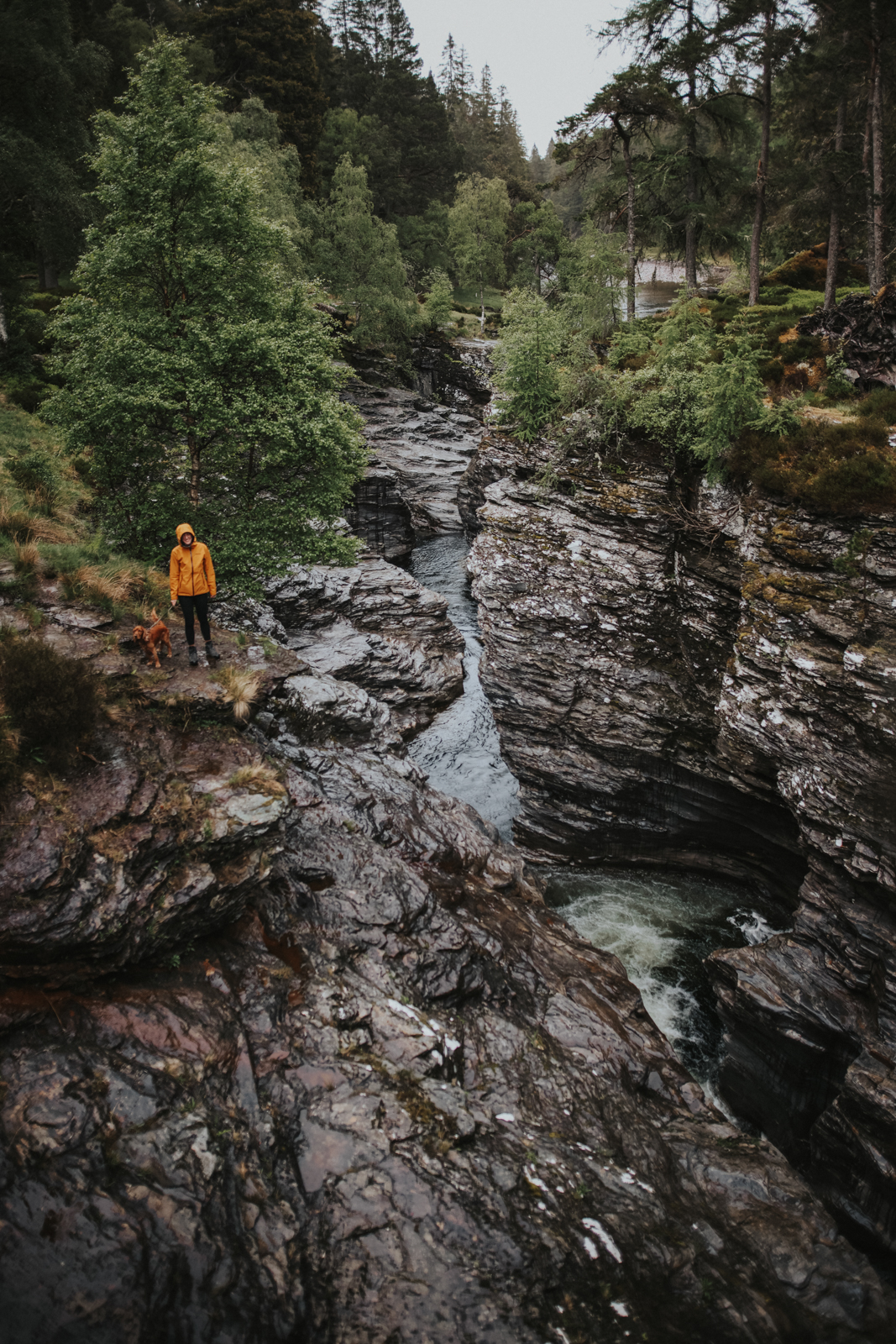 Cairngorms Nationalpark Linn of Dee