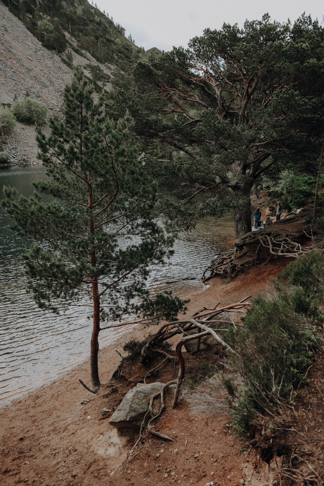 Cairngorms Nationalpark Loch Uaine