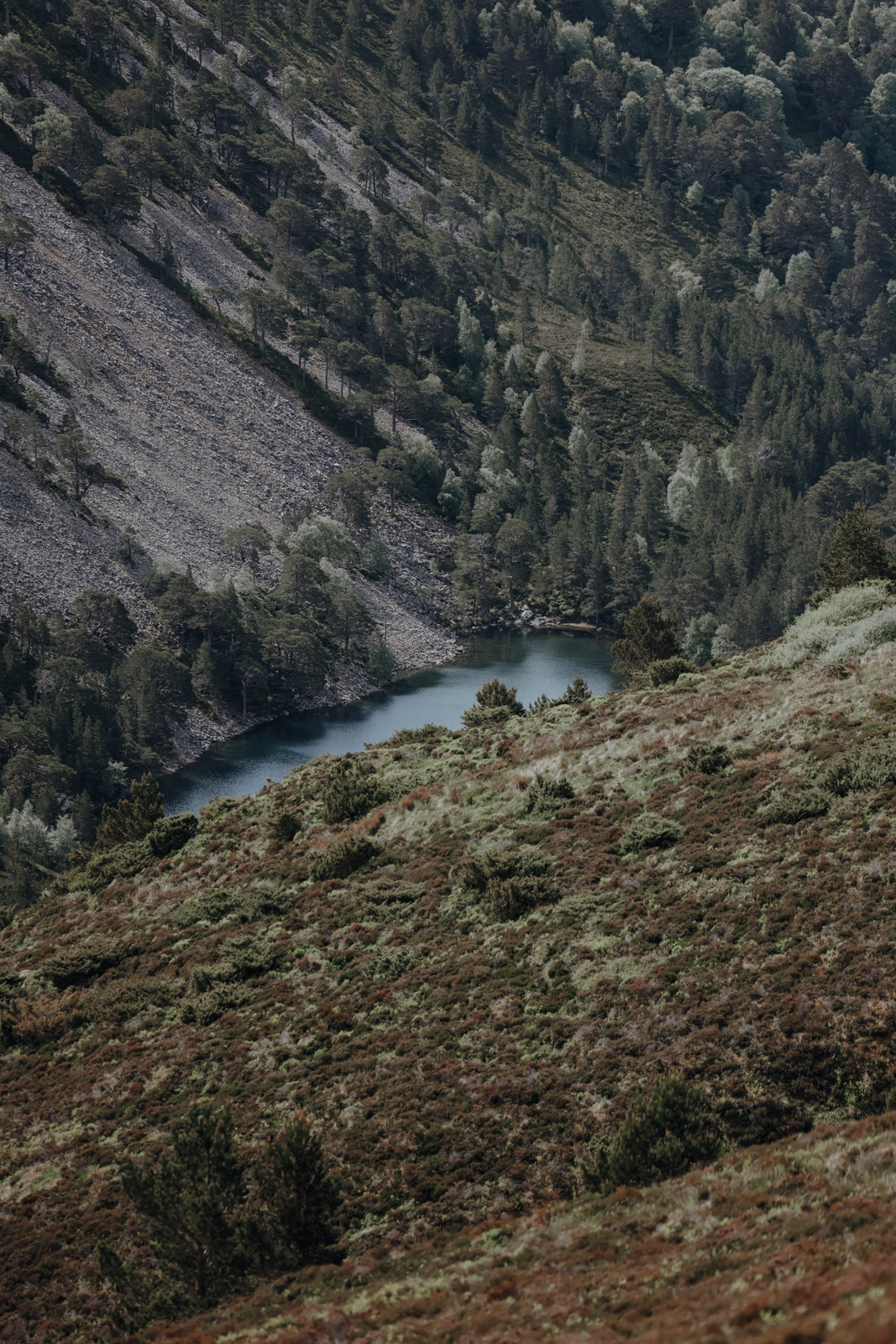 Cairngorms Nationalpark Loch Uaine