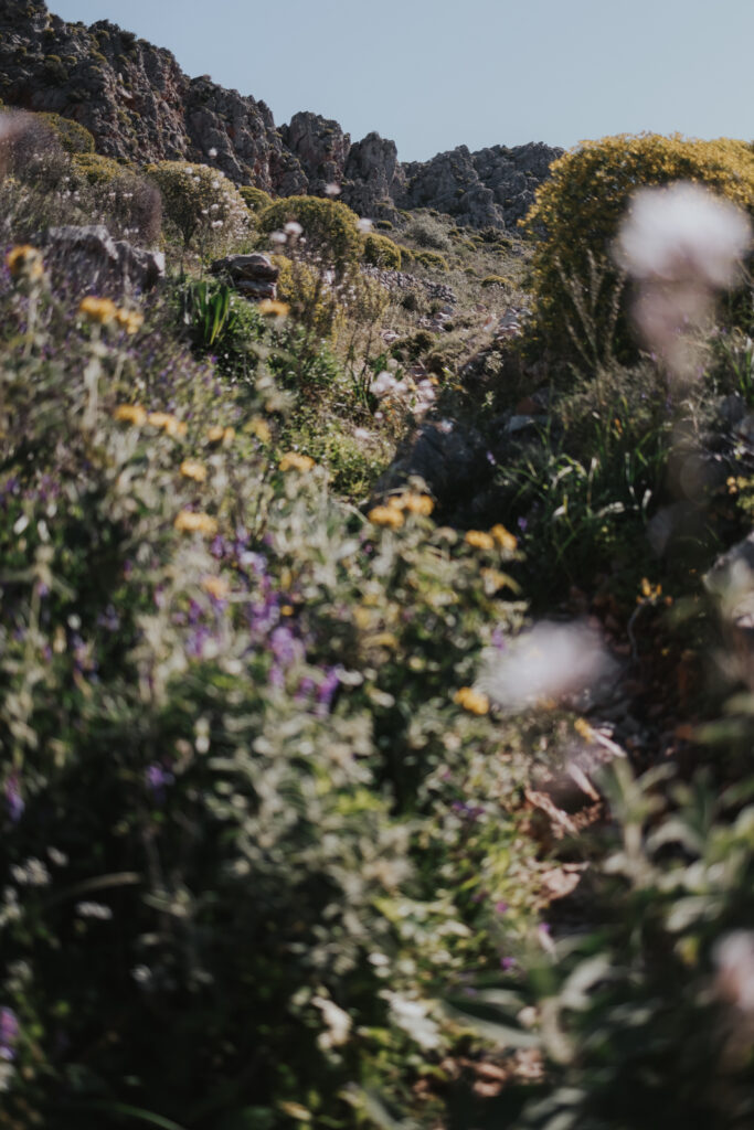 Hydra Griechenland Wandern