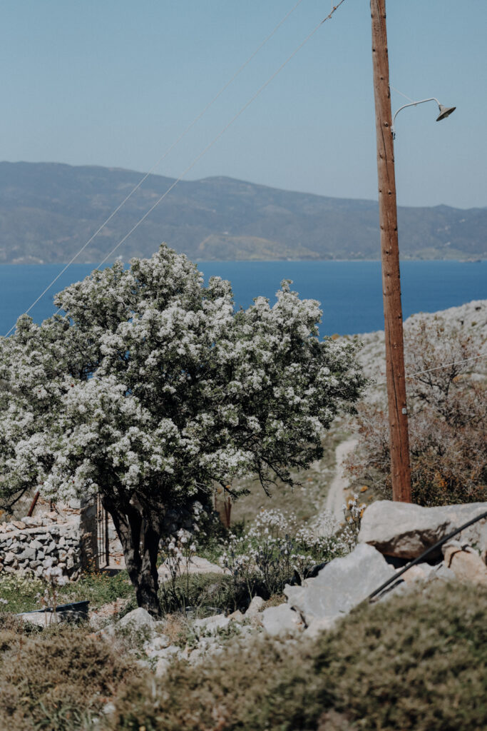 Hydra Griechenland Wandern