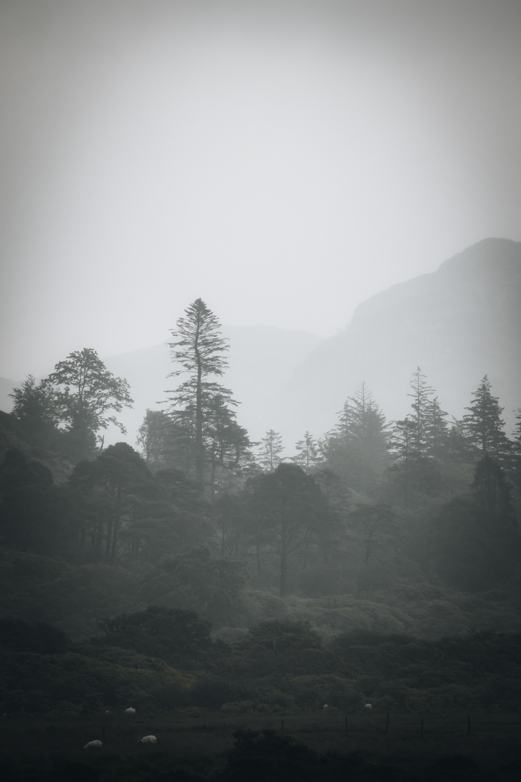 Isle of Mull Loch Spelve