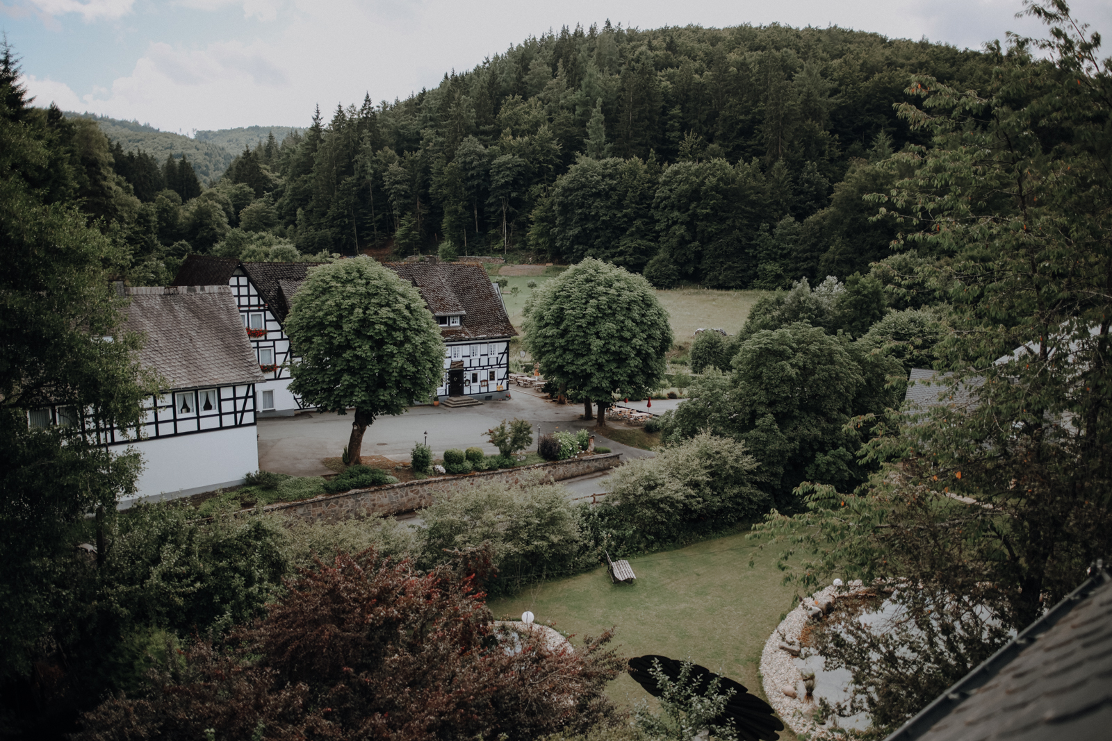 Schmallenberger Sauerland Hotel Hubertushöhe Hund Latrop