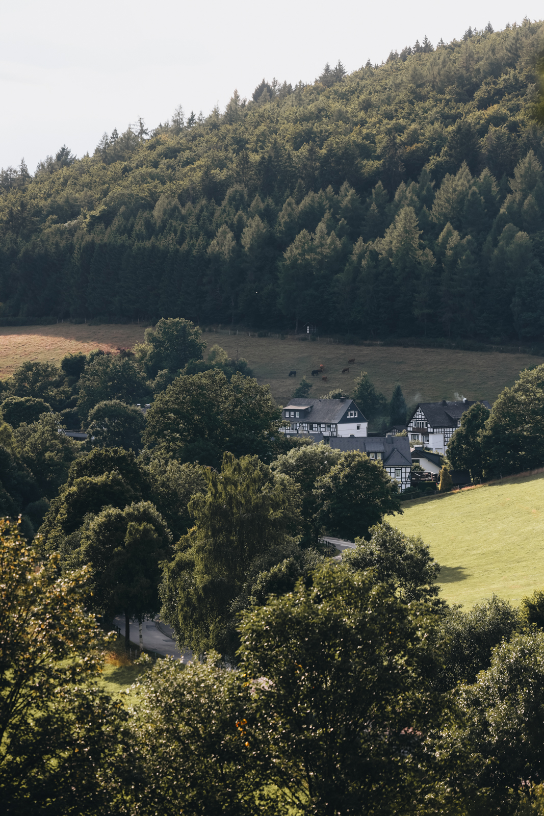 Schmallenberger Sauerland Latrop Wandern