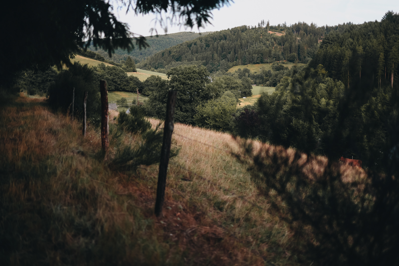 Schmallenberger Sauerland Latrop Wandern