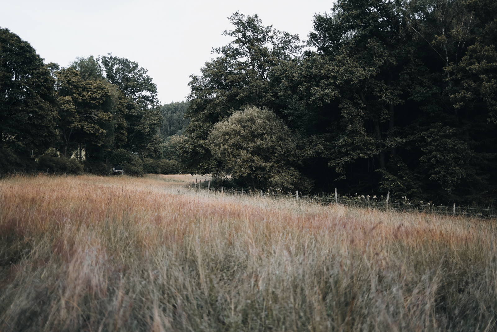 Schmallenberger Sauerland Latrop Wandern