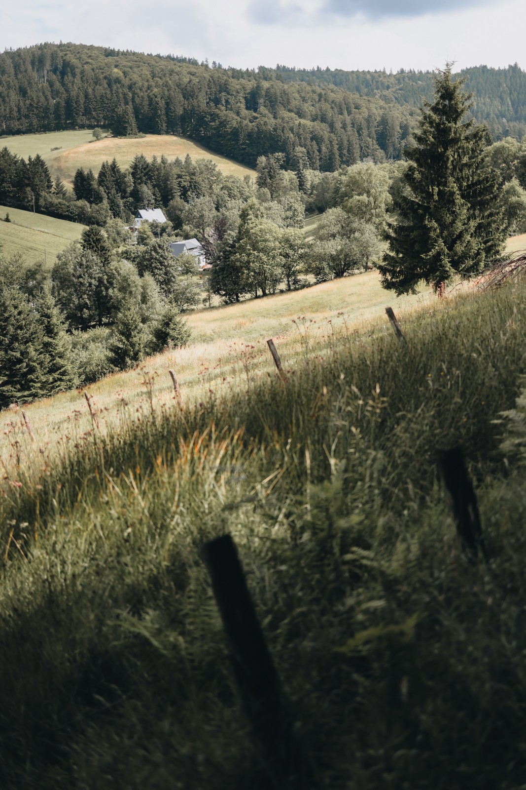 Schmallenberger Sauerland Ranger-Tour Stefan Knipperz Sorpetal