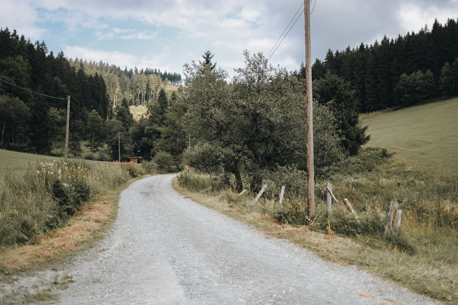 Schmallenberger Sauerland Ranger-Tour Stefan Knipperz Sorpetal