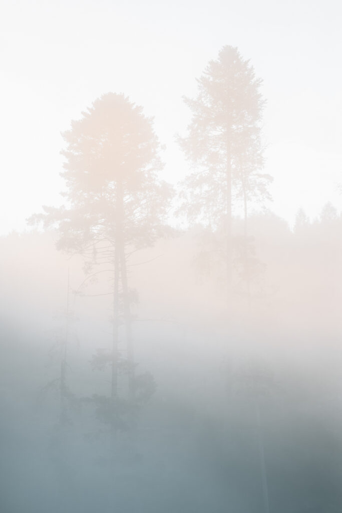 Wandern im Sauerland Veilscheder Sonnenpfad Nordschleife