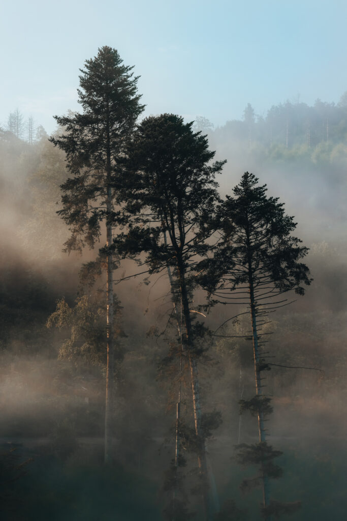 Wandern im Sauerland Veilscheder Sonnenpfad Nordschleife