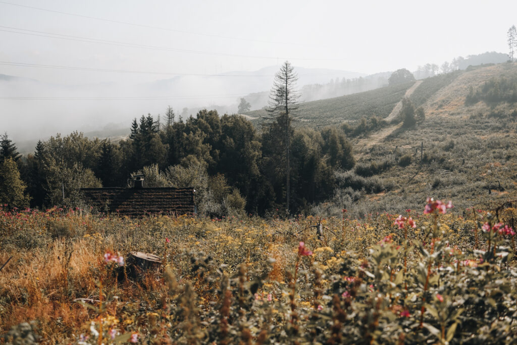 Wandern im Sauerland Veilscheder Sonnenpfad Nordschleife 