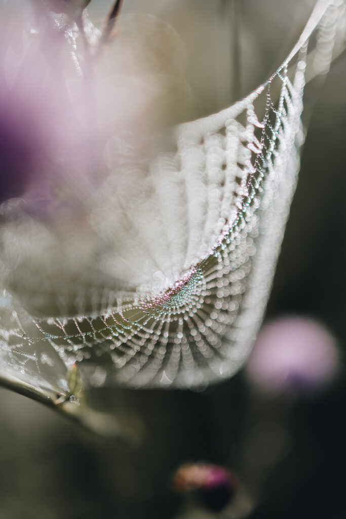 Wandern im Sauerland Veilscheder Sonnenpfad Nordschleife 
